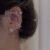 ❄left ear
